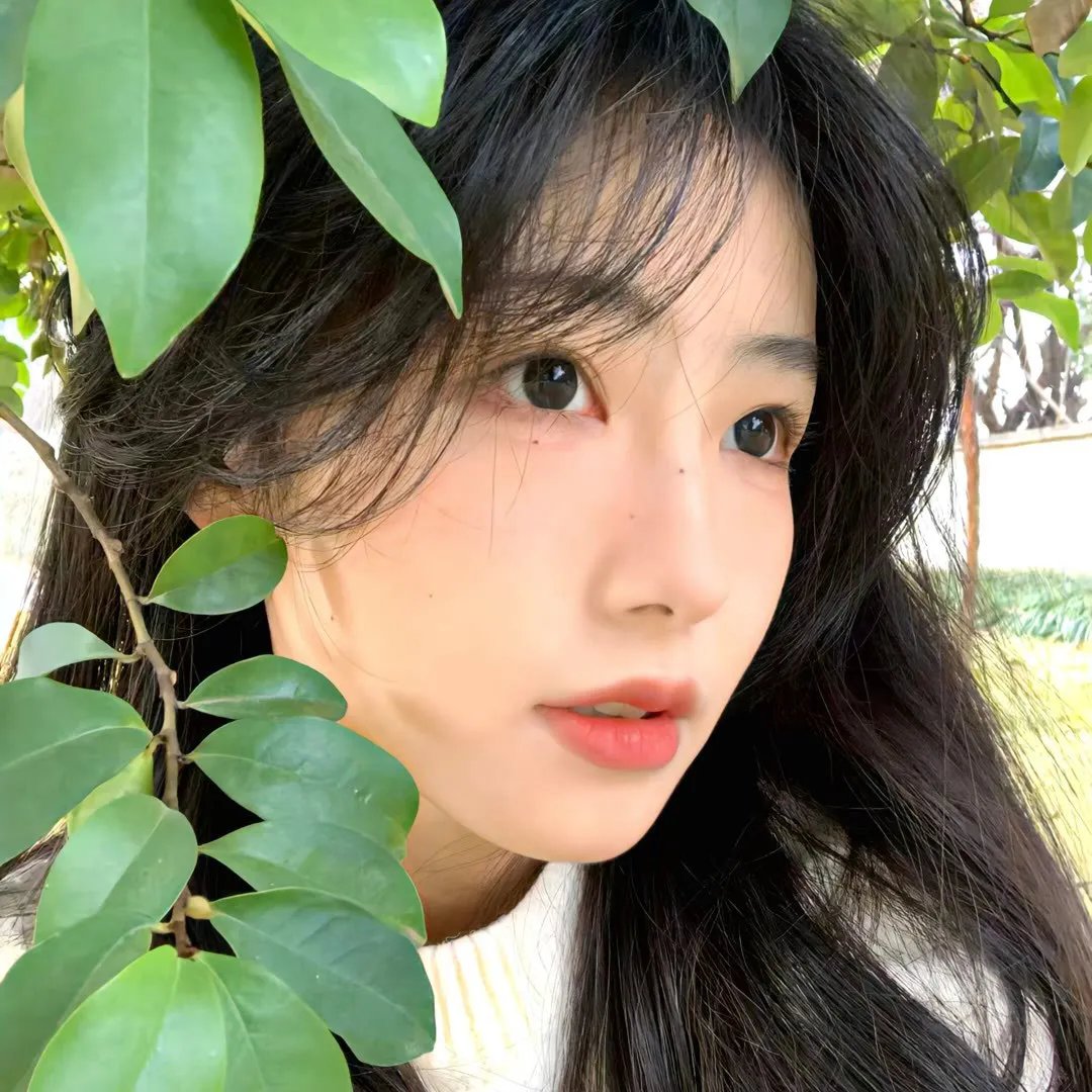 继承人